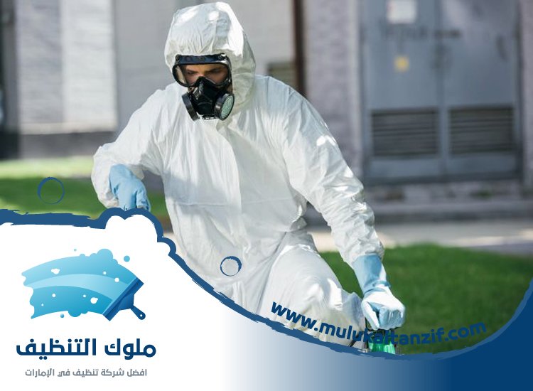 شركة مكافحة حشرات