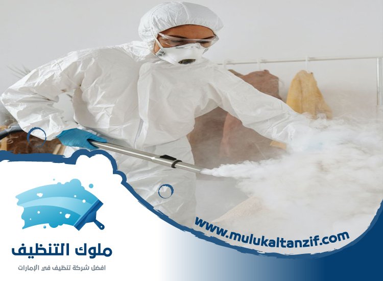 شركة مكافحة حشرات