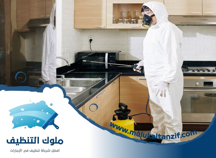 شركة مكافحة حشرات