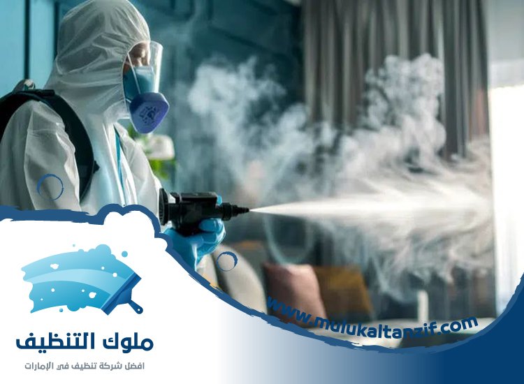 شركة مكافحة حشرات