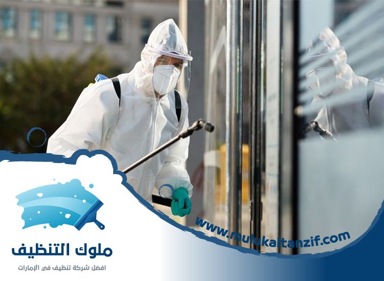 شركة مكافحة حشرات في محيصنة