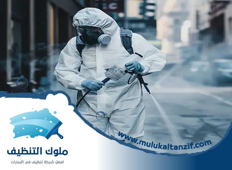 شركة مكافحة حشرات في محيصنة