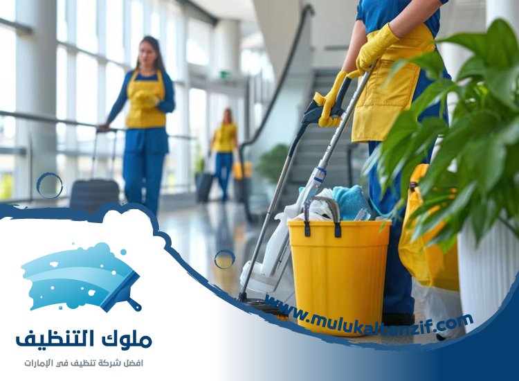 شركة تنظيف في ميناء سعيد