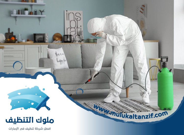 شركة مكافحة حشرات في المزهر