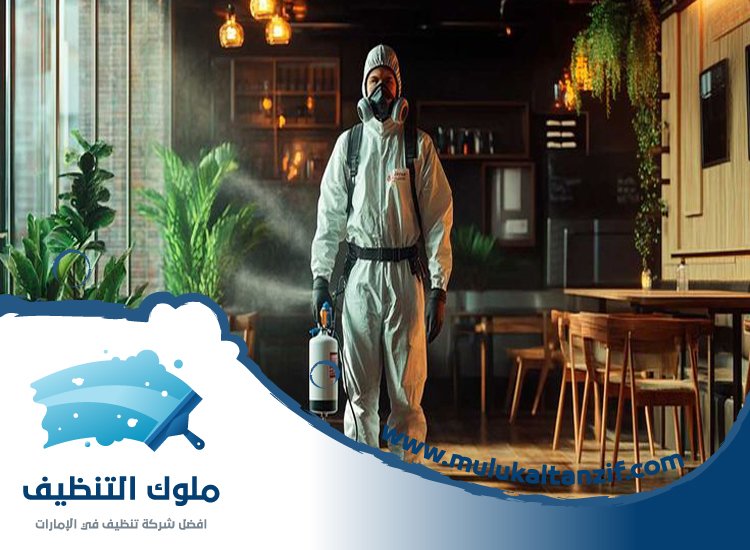 شركة مكافحة حشرات في الكرامة