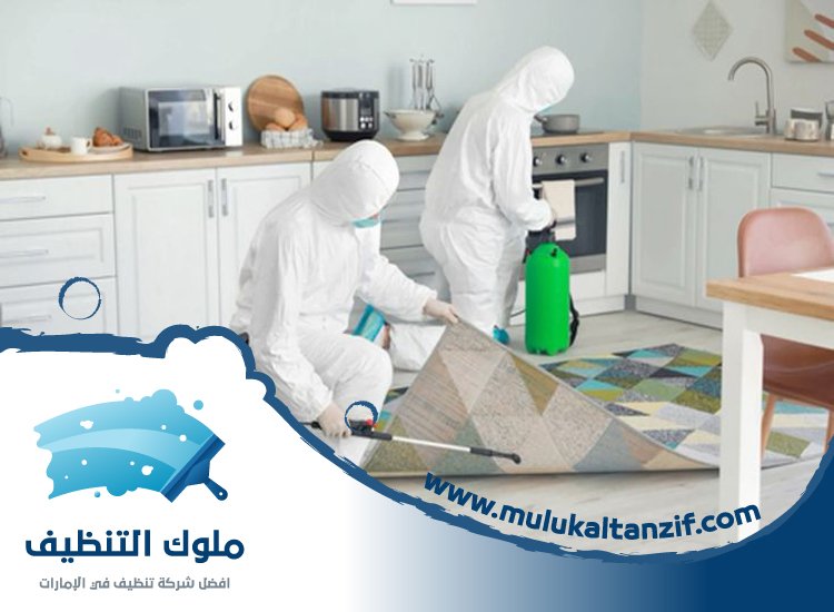 شركة مكافحة حشرات في المزهر