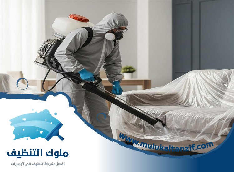 شركة مكافحة حشرات في الكرامة