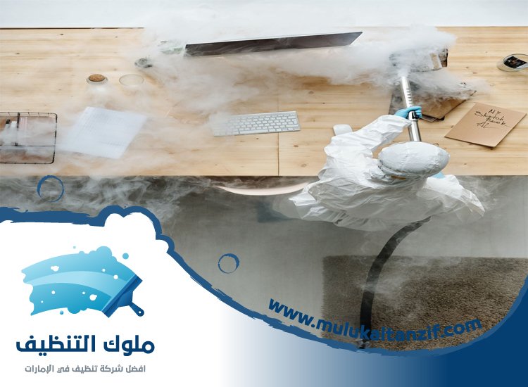 شركة مكافحة حشرات في الخوانيج