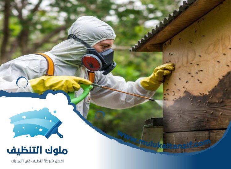 شركة مكافحة حشرات في الخوانيج