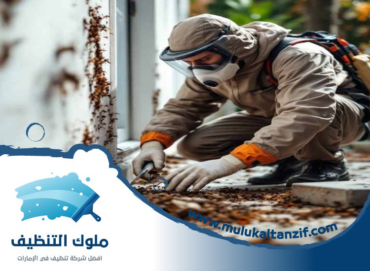 شركة مكافحة حشرات في الخوانيج