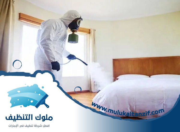شركة مكافحة حشرات في الضاحية