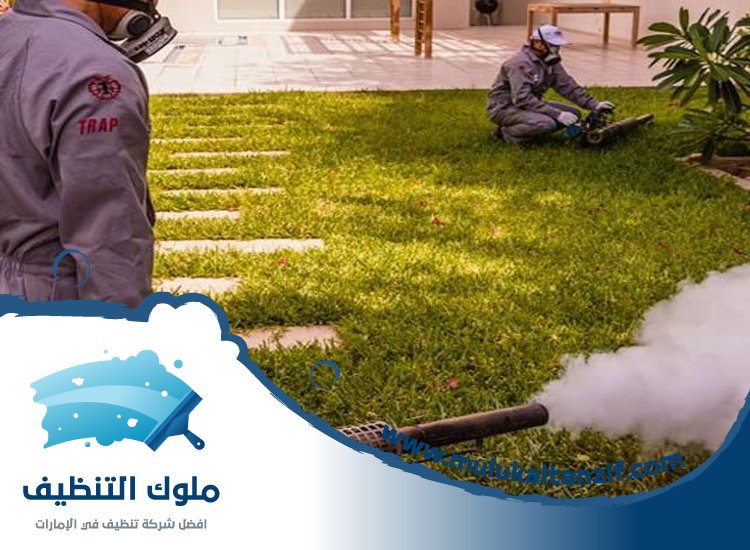 شركة مكافحة حشرات في السطوة