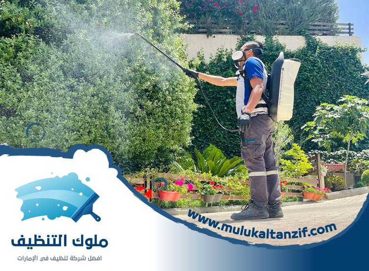 شركة مكافحة حشرات