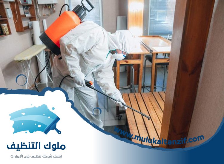 شركة مكافحة حشرات في الروضة