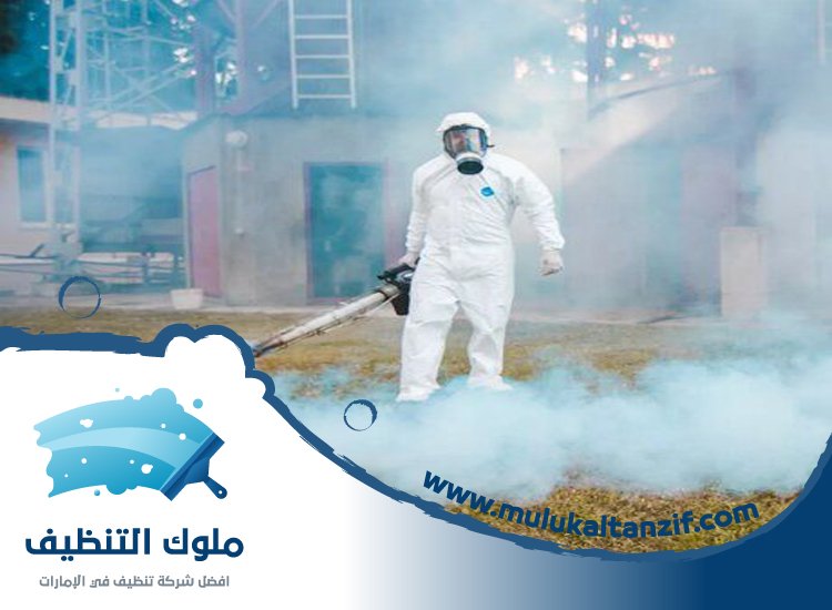 شركة مكافحة حشرات في الصفوح