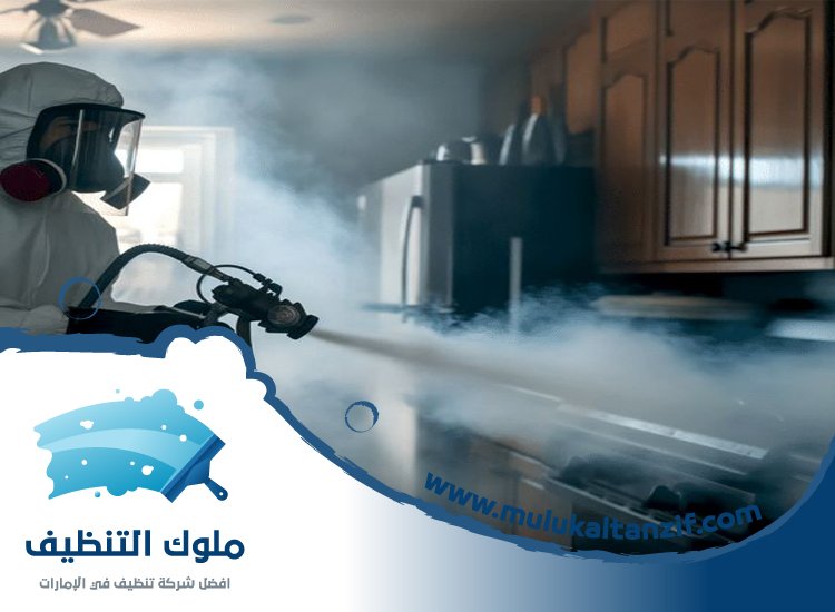 شركة مكافحة حشرات في السطوة