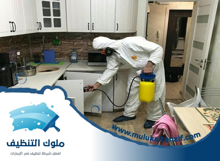 شركة مكافحة حشرات في الصفوح