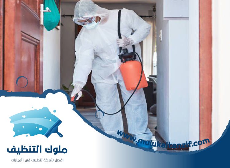 شركة مكافحة حشرات في الصفوح