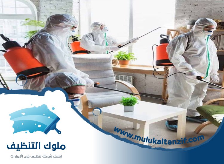 شركة مكافحة حشرات في الروضة