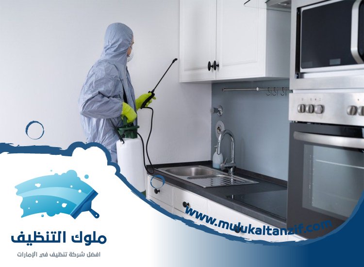 شركة مكافحة حشرات في الصفوح