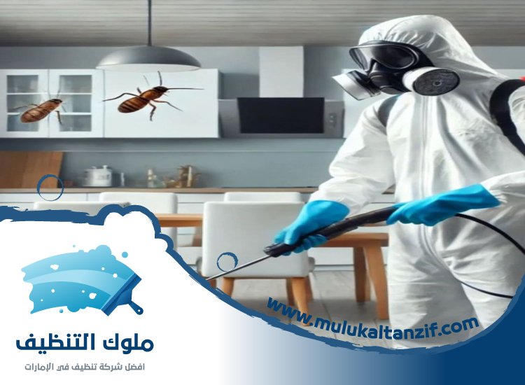 شركة مكافحة حشرات في الصفا