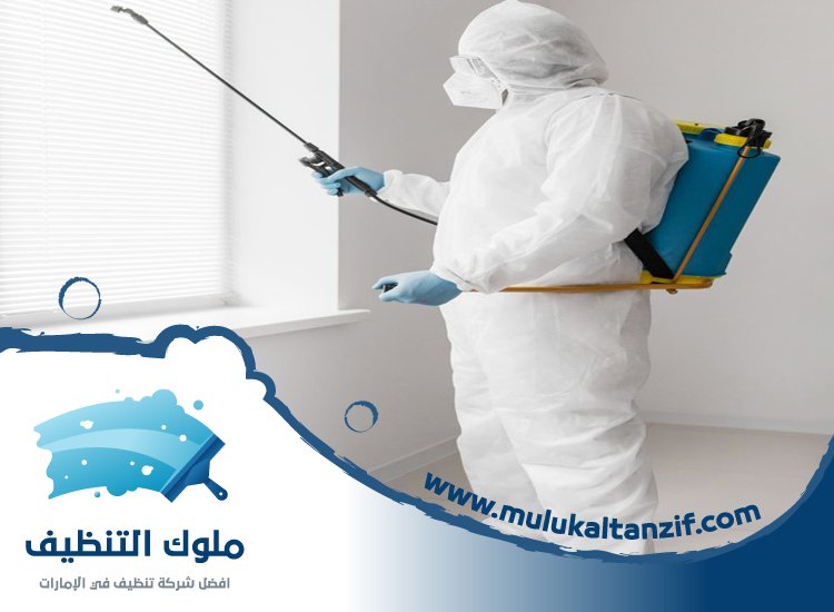 شركة مكافحة حشرات في الصفا