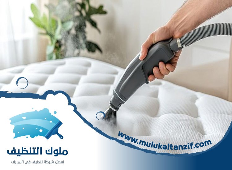 شركة تنظيف مراتب في عجمان