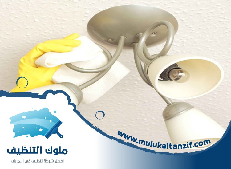 شركة تنظيف نجف