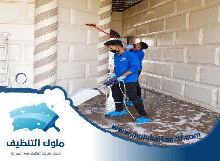 شركة تنظيف احواش في دبي