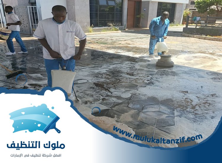 شركة تنظيف احواش
