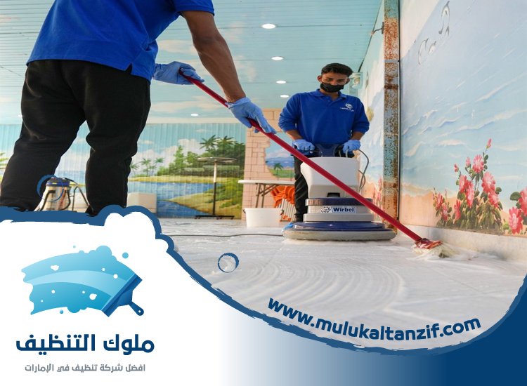 شركة تنظيف احواش في الفجيرة