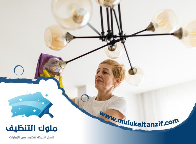 شركة تنظيف نجف في الشارقة