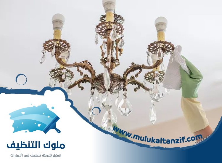 شركة تنظيف نجف في الفجيرة