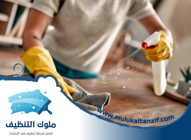 شركة تنظيف في مريشيد