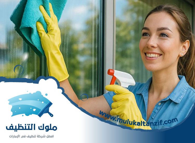 شركة تنظيف في مريشيد