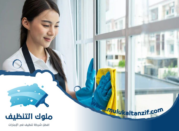 شركة تنظيف في مريشيد