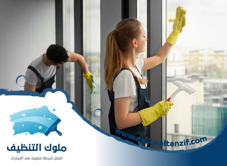 شركة تنظيف في البليدة