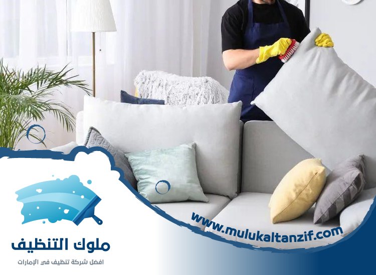 شركة تنظيف في صفد