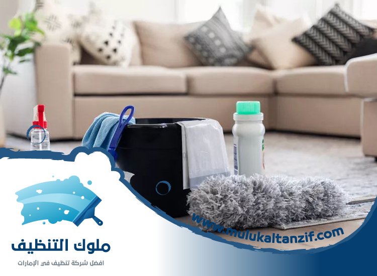 شركة تنظيف في العقة