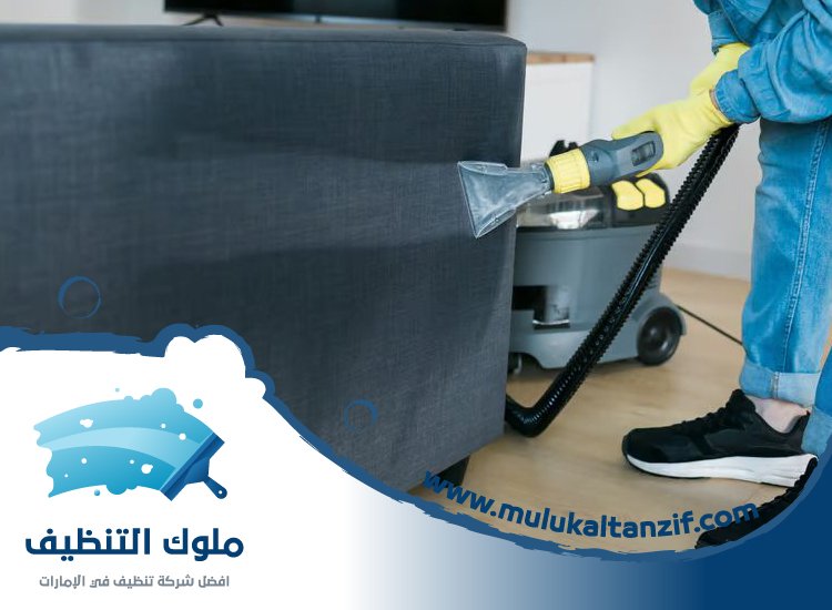 شركة تنظيف في العقة