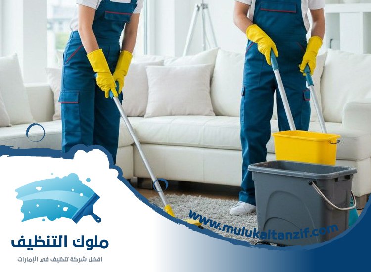شركة تنظيف في احفرة