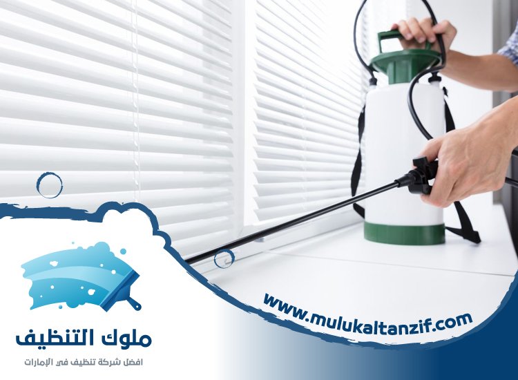 شركة مكافحة حشرات في السيجي