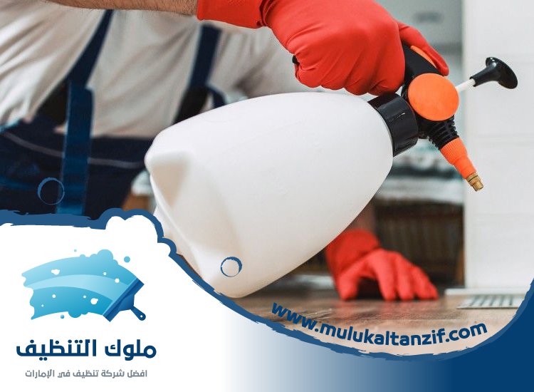 شركة مكافحة حشرات في السيجي