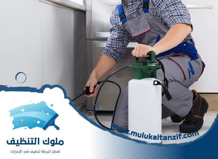 شركة مكافحة حشرات في الرحيب