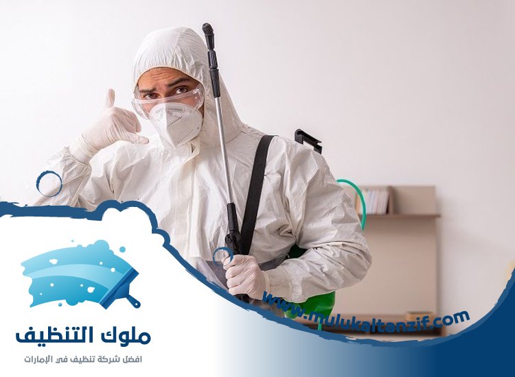 شركة مكافحة حشرات في الرحيب