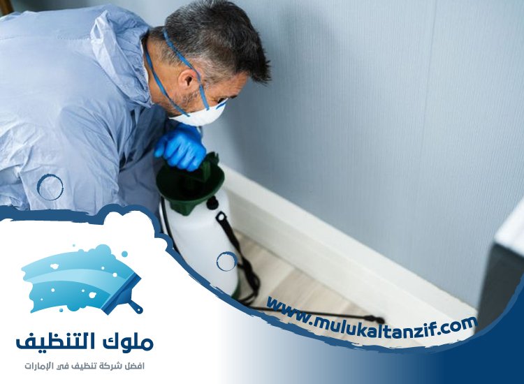 شركة مكافحة حشرات في ميرا
