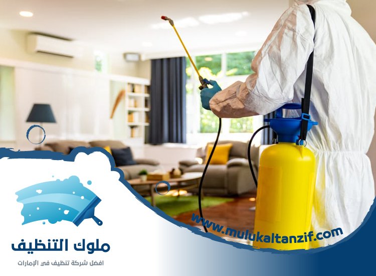شركة مكافحة حشرات في ميرا