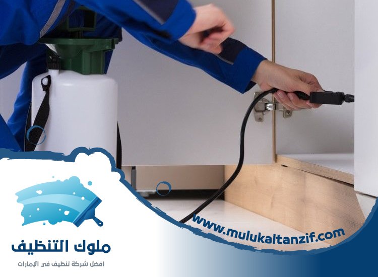 شركة مكافحة حشرات في ميرا