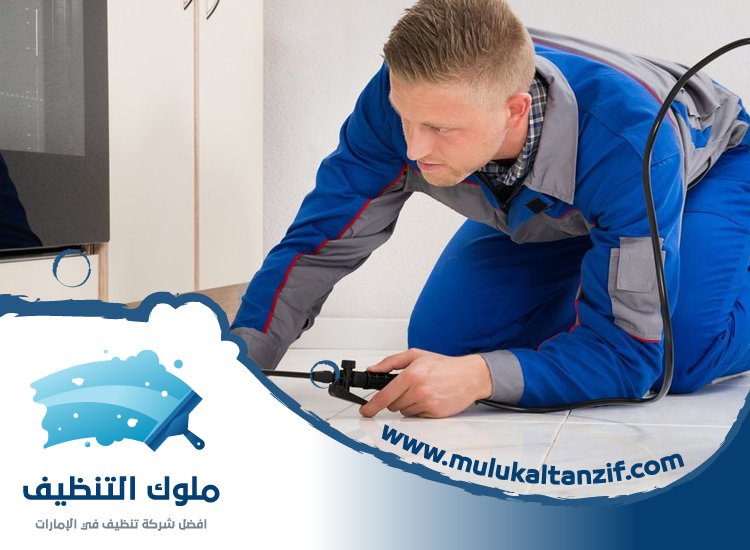 شركة مكافحة حشرات في داون تاون