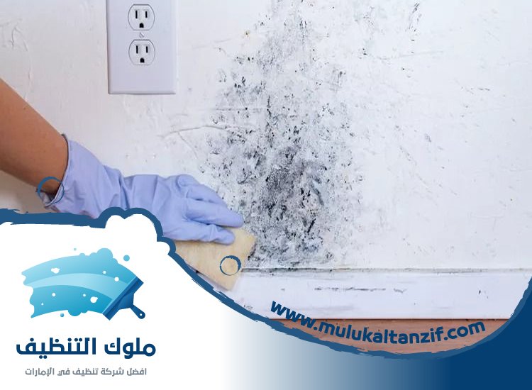 شركة تنظيف حوائط